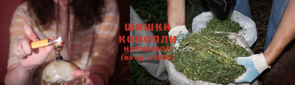 mdpv Белокуриха